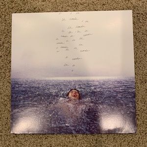 Shawn Mendes Wonder standard black vinyl record